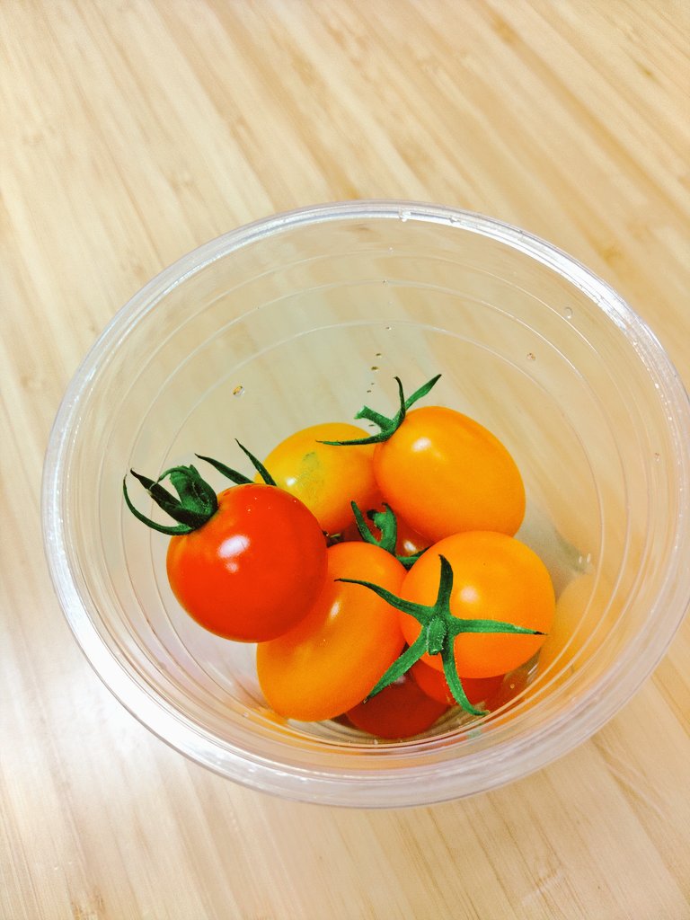 _muneo_'s tweet photo. 素人が作ったたった二色の数粒をプラスチックのカップに入れただけなのに、なんか美味そうに見える。ミニトマトのポテ��シャルすげえ。
#駐車場菜園
#ミニトマト https://t.co/qLYqkIxpSS