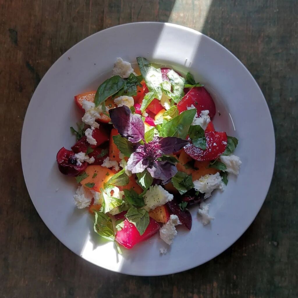 KevinRevolinski's tweet photo. Tried @alislagle's stone fruit caprese recipe from @nytcooking  the other day. Wonderful. Biking back to the grocery for more fruit. Peaches, nectarines, cherries, plums, fresh mozzarella, mint and basil, EVOO. Contemplating using a few dashes of our rhu… https://t.co/wu6CxcMSso https://t.co/bn6zk6lFNW