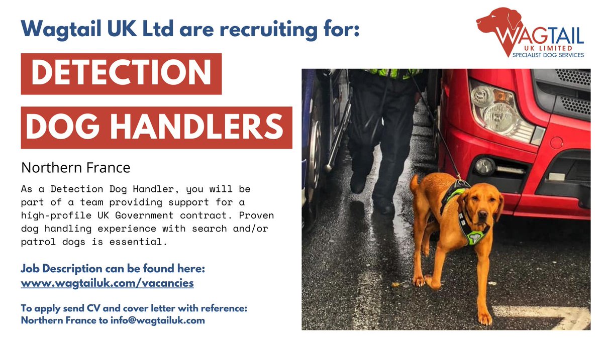 VACANCY: Body Detection Dog Handlers
More info: wagtailuk.com/vacancies/ 

#jobswithdogs #doghandler #wagtailuk #workingwithdogs #careers #jobs #snifferdogs #detectiondogs