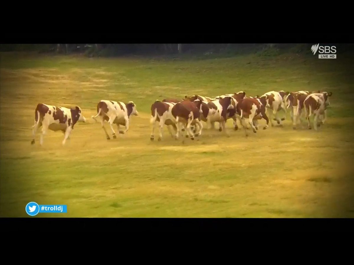 SkillsyV2's tweet image. #trolldj doesn&apos;t get better than Cows with Guns ... apart from a bit of New Race! #couchpeloton #asksbstdf