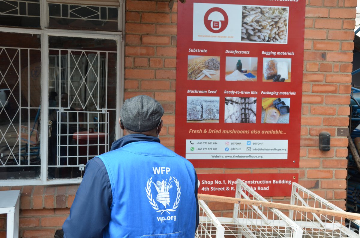 WFP Zimbabwe tweet media