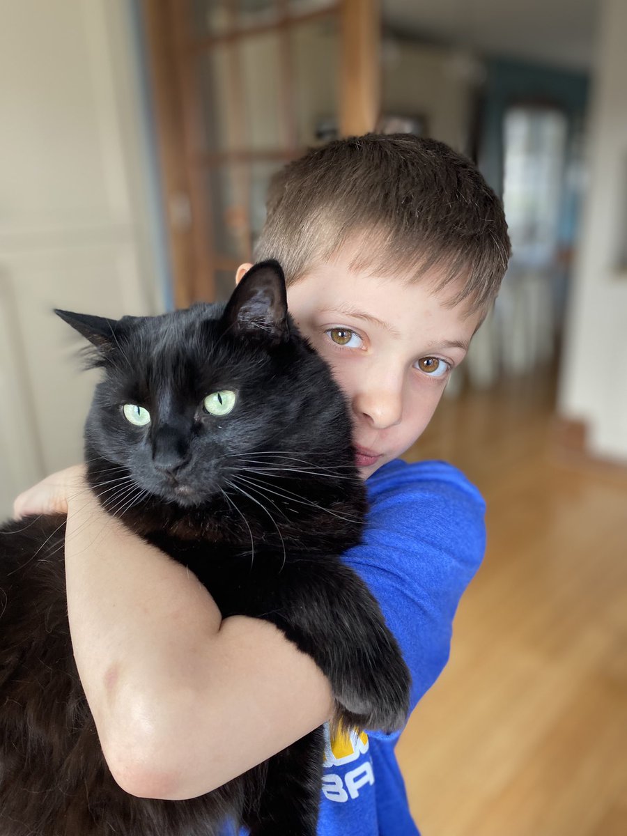 KaraCoyle's tweet photo. @DaynaECopeland Hi, Jack! This is my son Jack &amp; our kitty, Poppy.  Poppy thinks she is Jack’s mom.  She follows Jack &amp; his sisters around the house &amp; outside when they play w/ their friends, ride bikes &amp; swim in our pool.  Her fav spot is curled up in bed with her kids. https://t.co/D2gbznYiXs