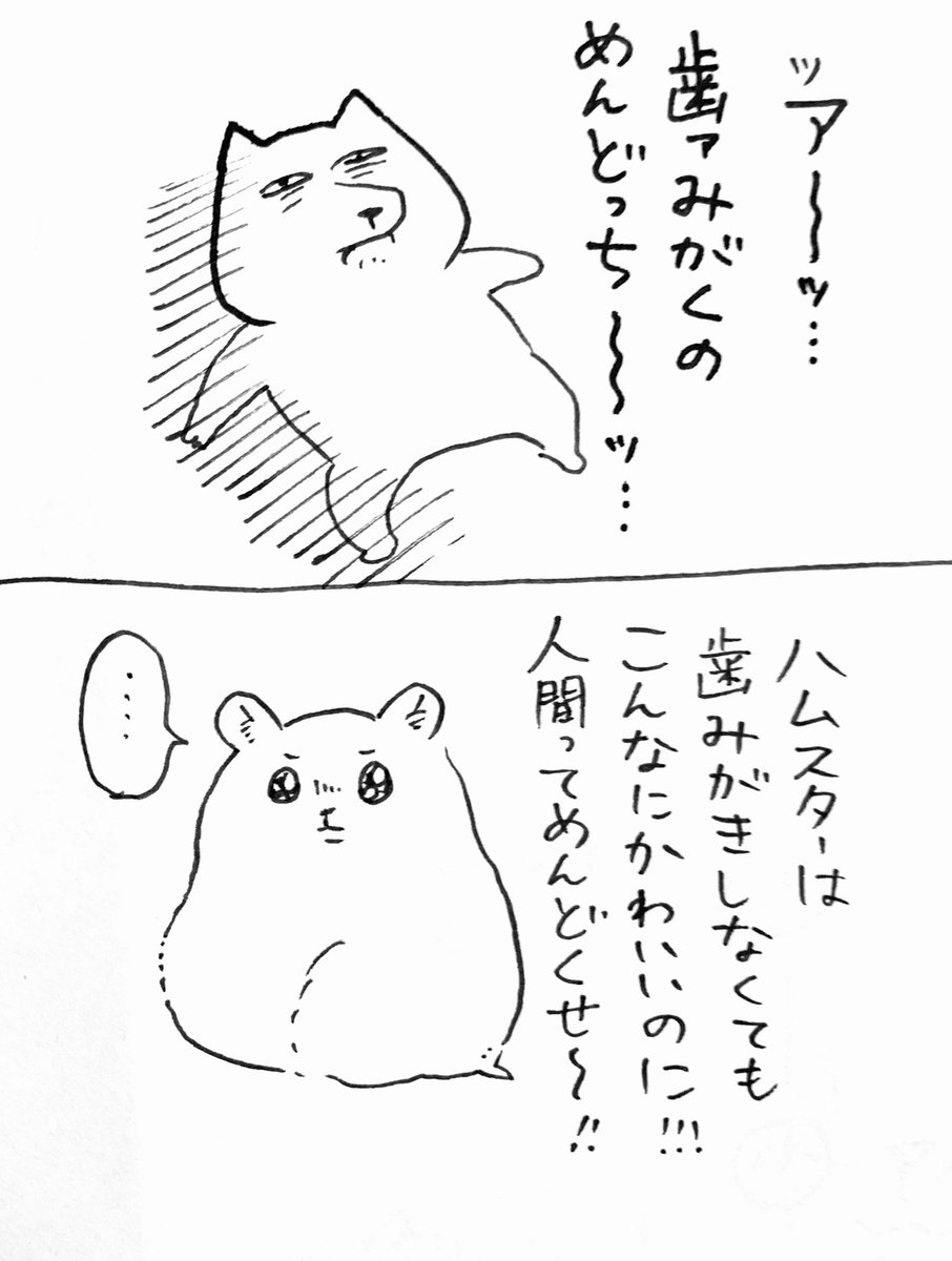 〜愚か日記〜 歯磨きとドライヤー、めんどくさいけど毎日やってえらいと自分に言い聞かせてます 