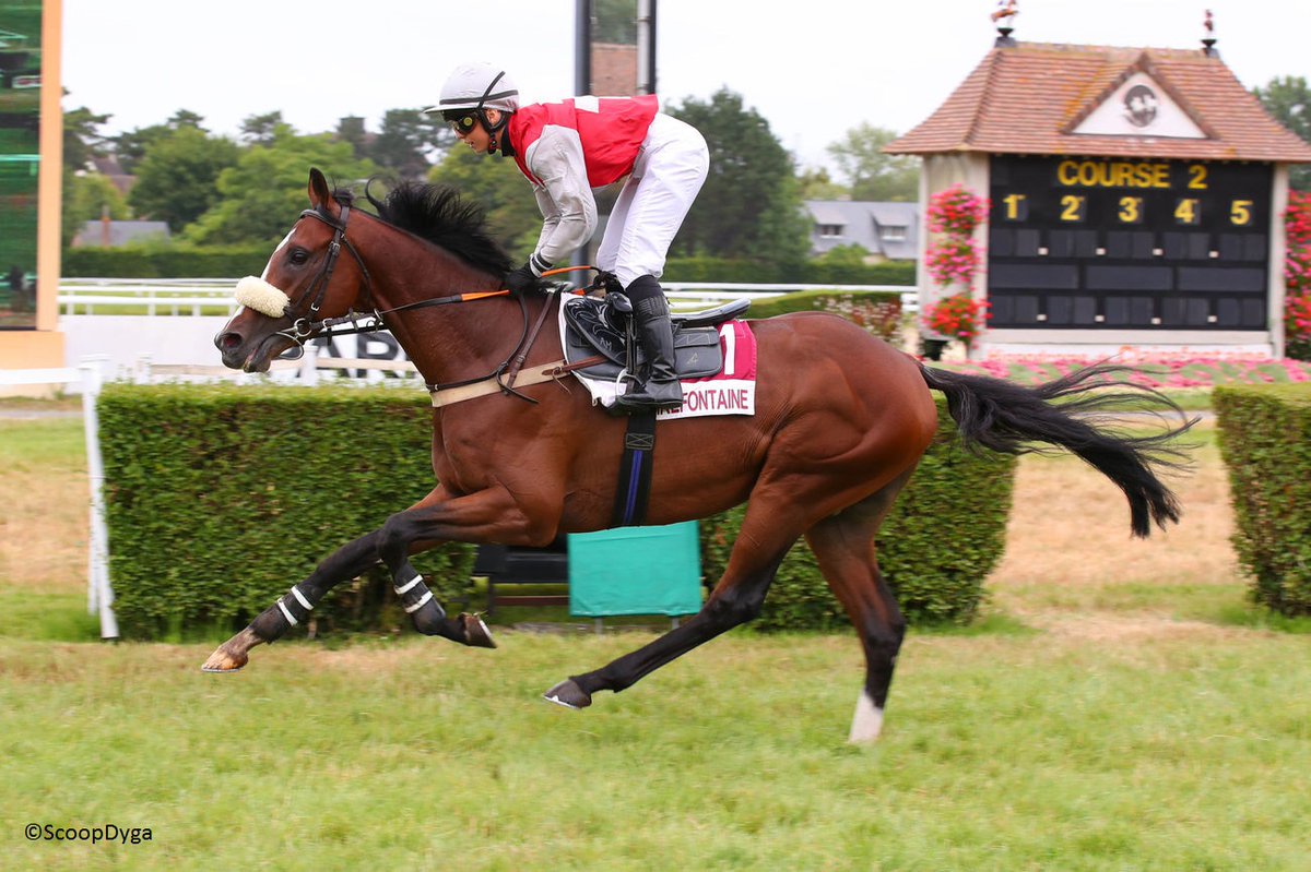 🥇 𝐒𝐏𝐄𝐄𝐃 𝐖𝐀𝐘 #Obstacle Vendu lors de la Breeze-up de La Teste en 2021, SPEED WAY (FR) (M3 #Birchwood) fait impression aujourd'hui en s'imposant de 6L dans le Prix @Paris_Turf - Prix de l'Oudon (classe 2, haies) à @hippoclairefont pour l'entraînement de Christophe Escuder