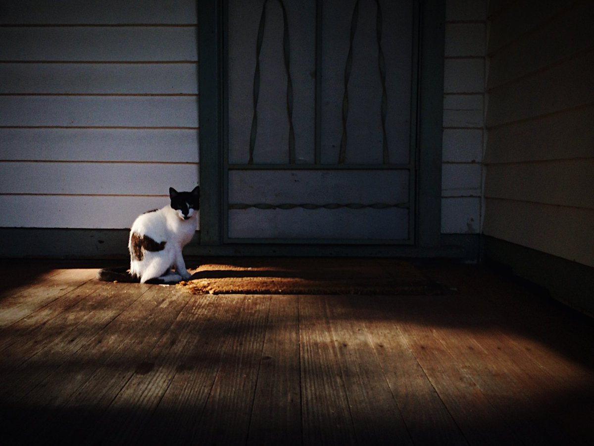 thomerz24's tweet image. Melbourne, Australia 2014
#streetphotography #mobilephotography #shotoniphone6