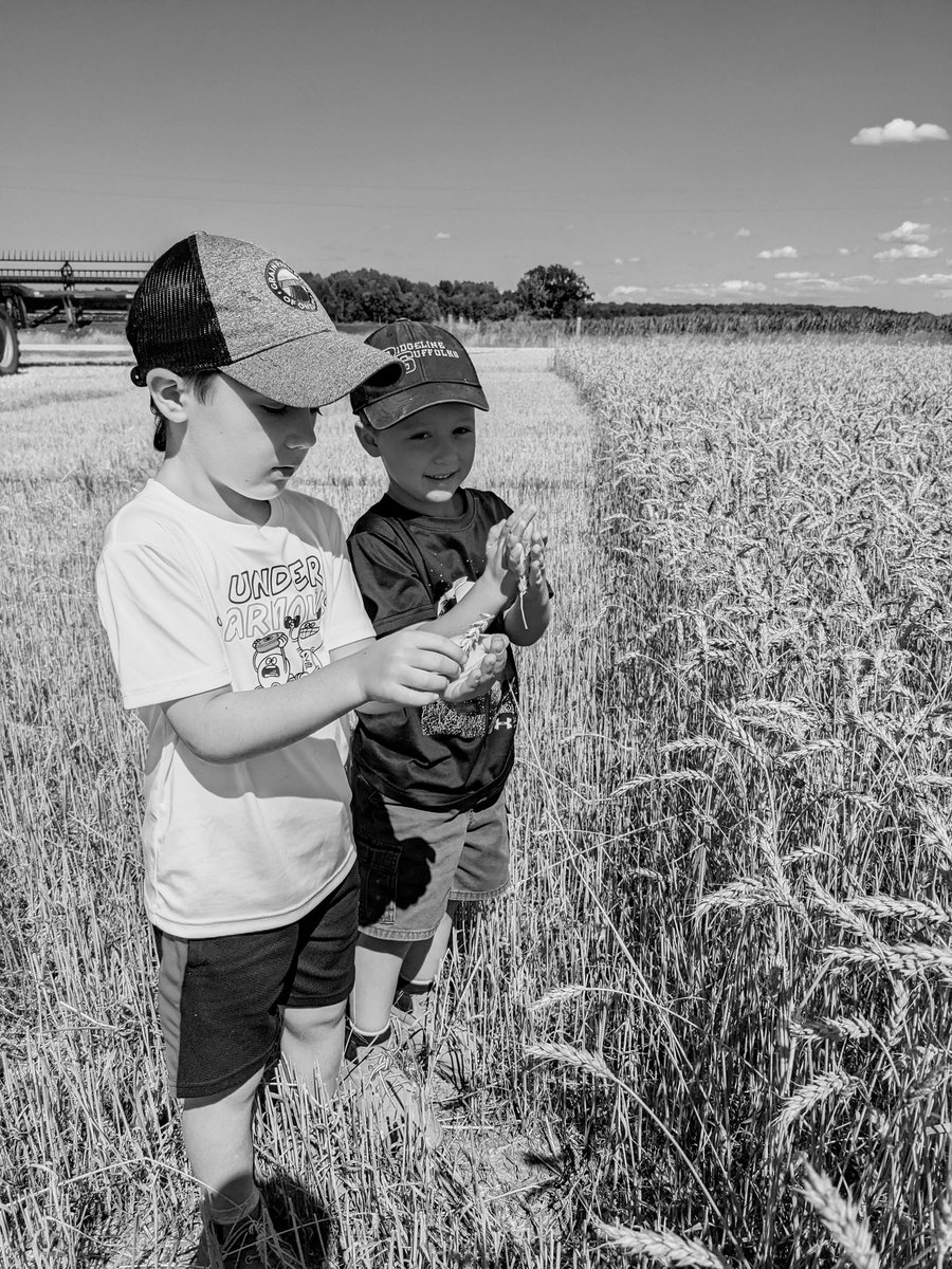 It's go time! Farming with the next generation...learning to do, by doing! <a href="/kylemaw/">Kyle Maw</a> <a href="/GrainFarmers/">Grain Farmers of Ontario</a> <a href="/GoodinGrain/">Good in Every Grain</a>