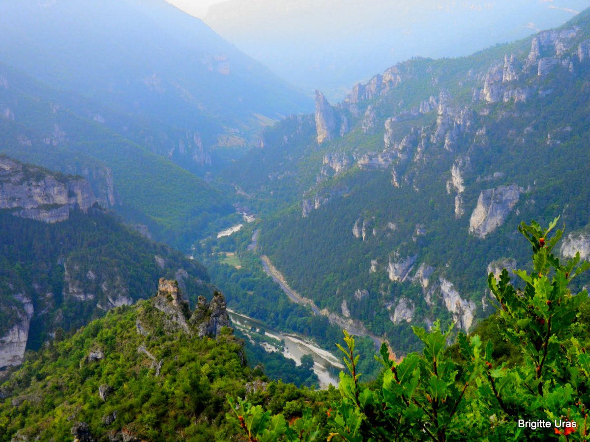 BrigitteUras's tweet photo. #Gorges du #Tarn, le point sublime parce que sublime, classé #UNESCO #Lozère #France #pointsublime #photographe #brigitteuras #tourisme https://t.co/G7V2kwdgDY