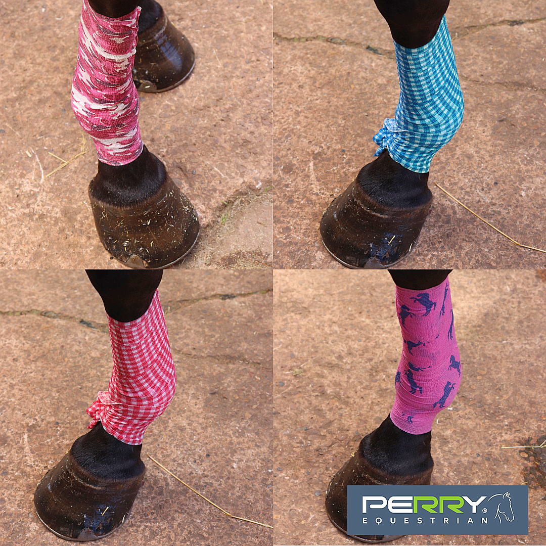 Perry Equestrian tweet media