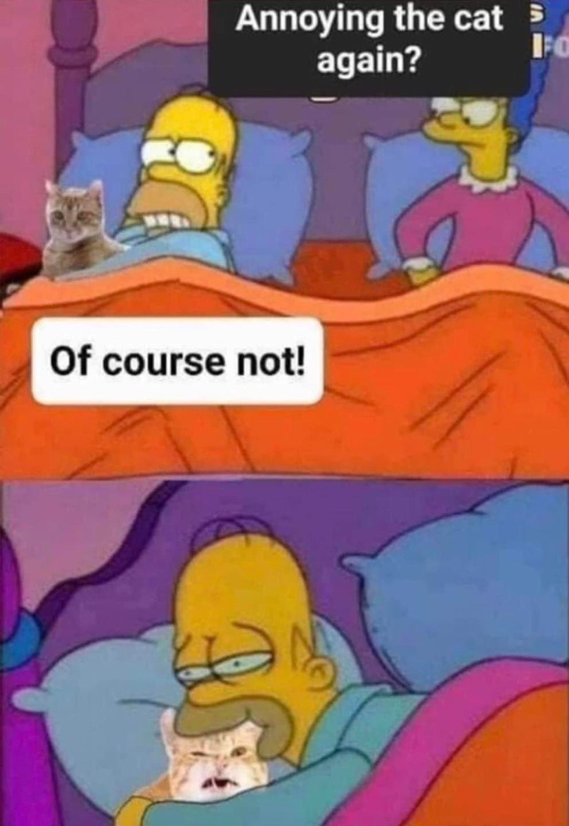 RespectfulMemes's tweet image. 