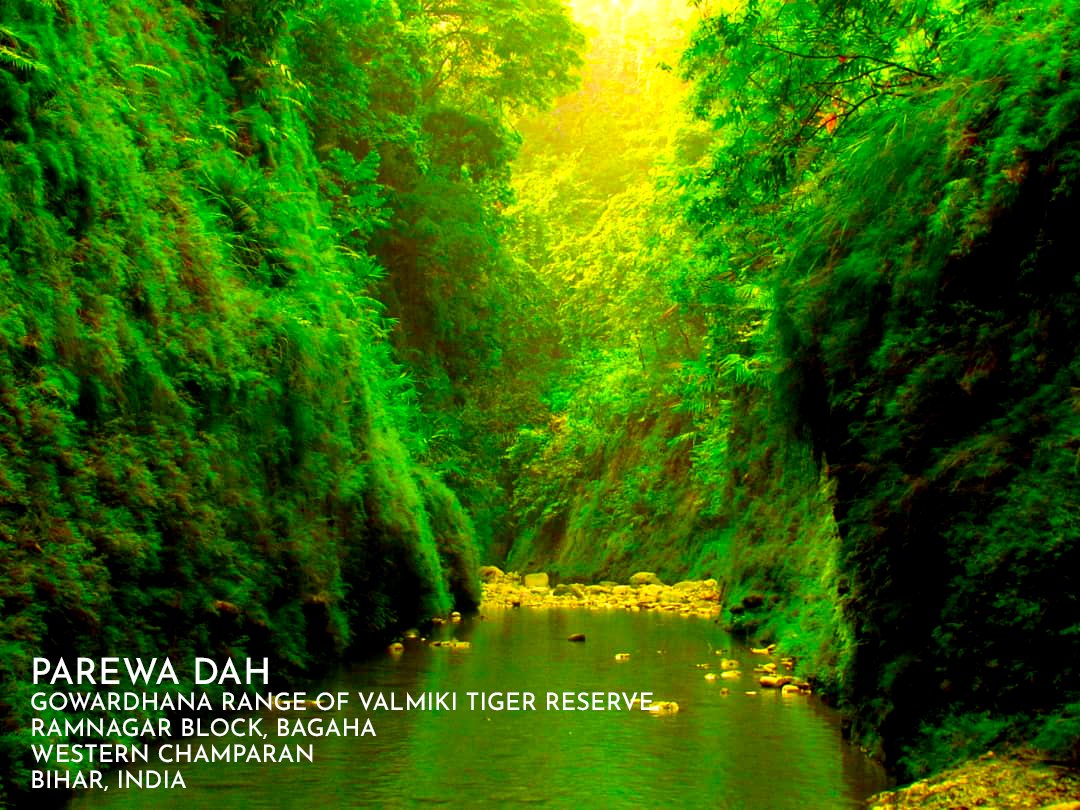 DMWestChamparan's tweet photo. #CharmingChamparan @BiharTourisms @IPRD_Bihar https://t.co/ntfzQ8gh0R