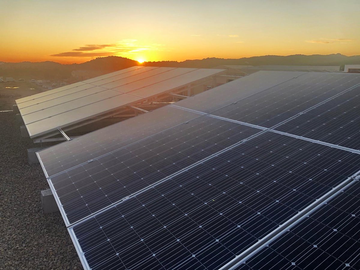 🔌♻️ A #Calvià, generem energia verda gràcies a la instal·lació fotovoltaica que tenim a la nostra seu. 

🌳 Des de finals de l'any 2019, hem generat 84.557 kWh i s'han neutralitzat més de 27 tones d'#emissions de CO2, fet que equival a plantar més de 54 arbres.