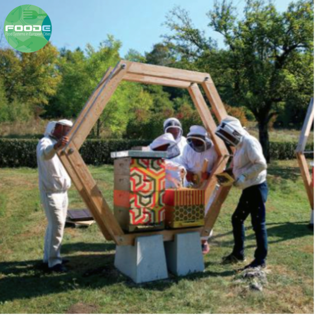 🗓 From 30th May until the 5th of July, the Urban Beekeepers' Association of Slovenia 🇸🇮 organised an event involving prisoners and students in designing and implementing original designs for beehives🍯

Learn more ➡️ bit.ly/3RHpC3P

#ThinkGlobalEatLocal #FoodE