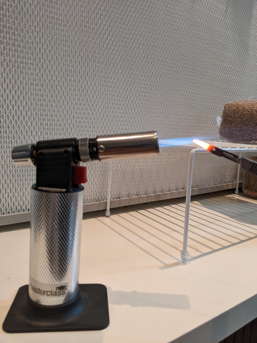 The Lockdown Garden tweet media