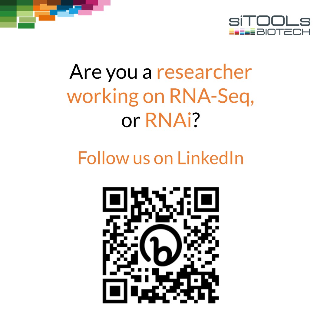 siTOOLsBiotech's tweet photo. Are you a #researcher working on #rna-seq or #rnai? Be sure to follow siTOOLs Biotech on LinkedIn to discover our #moleculartools that will make your life easier: https://t.co/UkuptLMMvv   

#biotechresearch 
#scientist 
#lifesciences 
#bioscientist 
#sitoolsbiotech 
#rna https://t.co/wl4zVRLfOZ