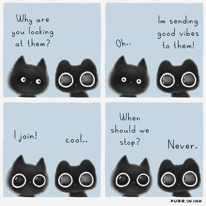 HiHoFai's tweet photo. To all those who check this out, let the cute kitties send u all the good vibes! May what we are doing now is always sailing smoothly forever~ 🙏🏻👏🏻💪🏻

#Cat #Cute #goodvibes https://t.co/7KrVwzigZo