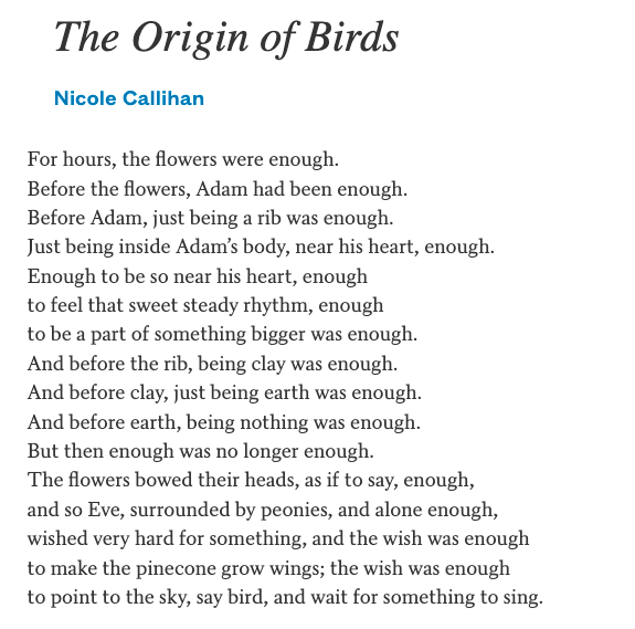 MayaCPopa's tweet photo. I love this poem by @NicoleLooped: https://t.co/SXiJ3cVvLZ