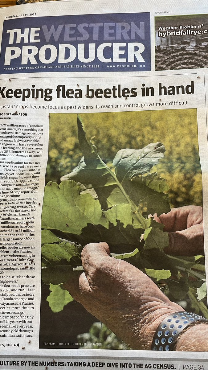 Brennan Wiens (@wiensseedfarm) on Twitter photo Anyone else catch themselves trying to brush the bugs off this week’s <a href="/westernproducer/">The Western Producer</a> ? Anyone else catch themselves trying to brush the bugs off this week’s <a href="/westernproducer/">The Western Producer</a> ?