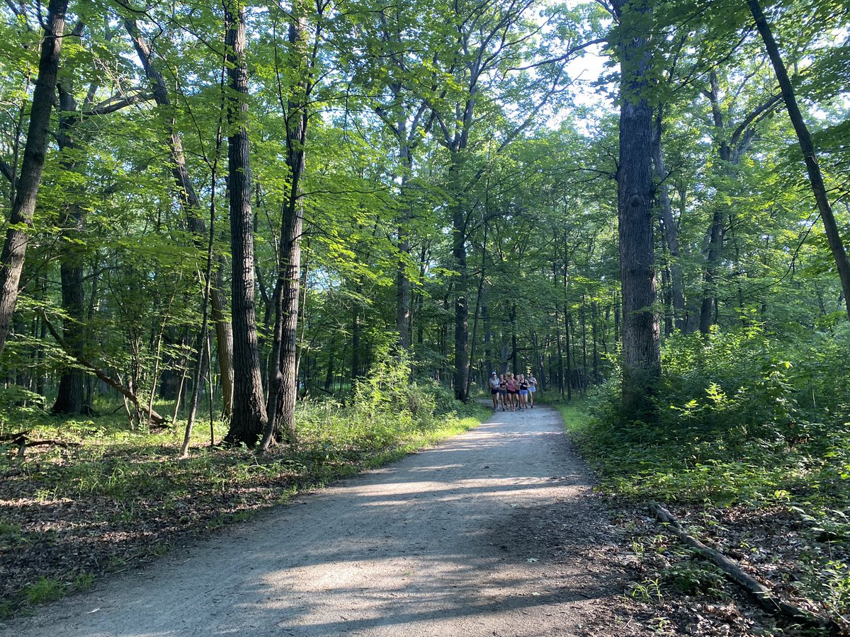 ProspectXCTF's tweet photo. Another beautiful morning running on the trails! #XC22 https://t.co/7DMeP5PymY
