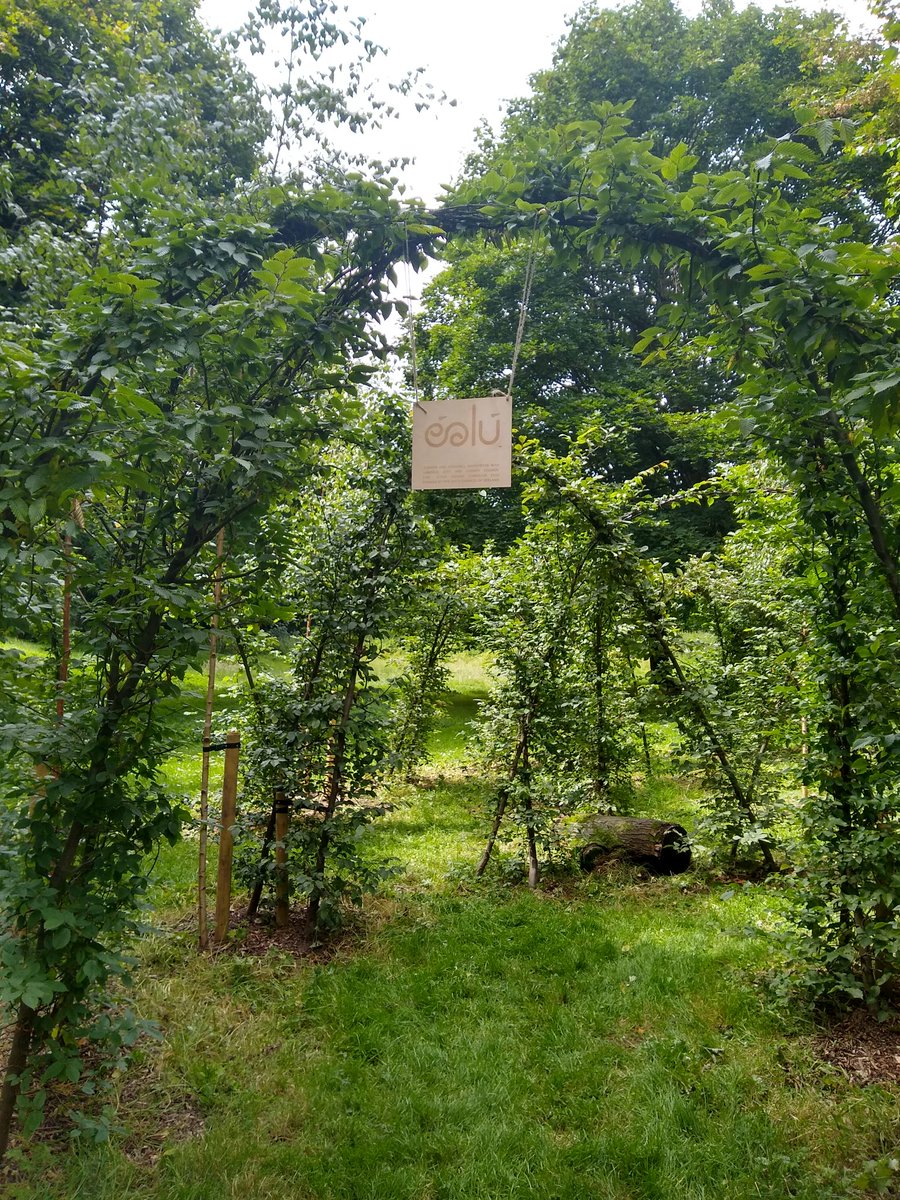 OpenHouseLimerick (@ohlimerick) on Twitter photo 