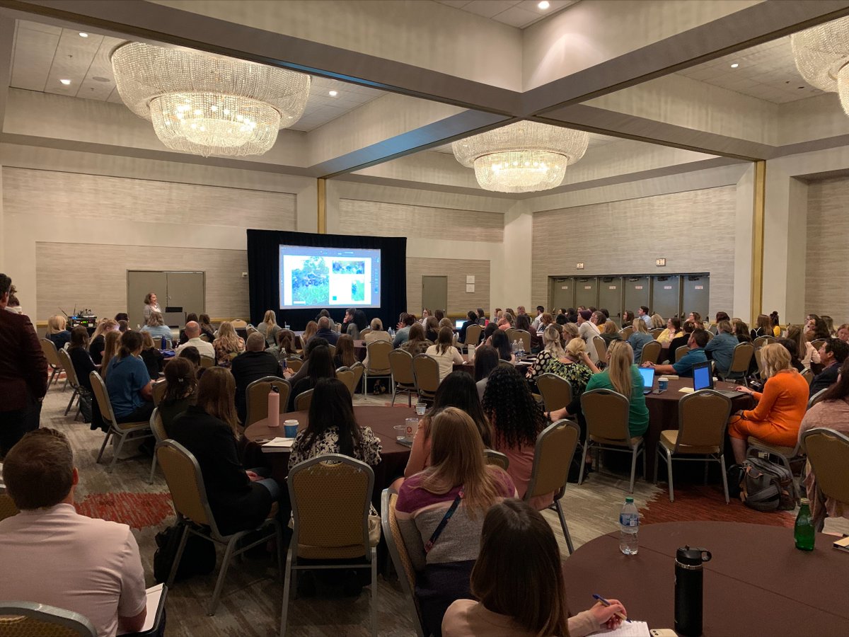 Shaffer Creative tweet media