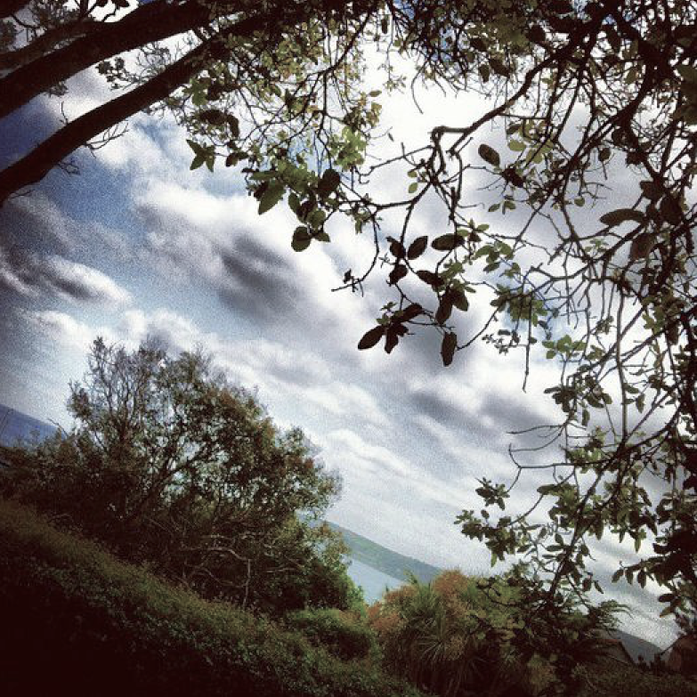 Hookland tweet media