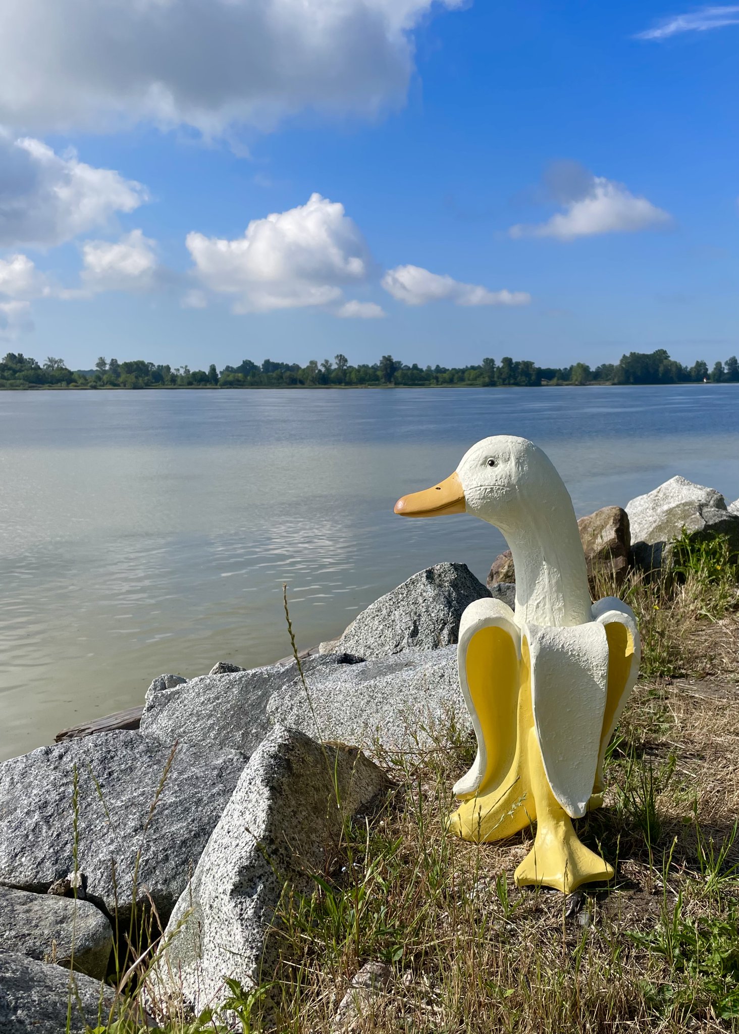 London Drugs on Twitter "It’s a duck, its a banana....it’s a duckana