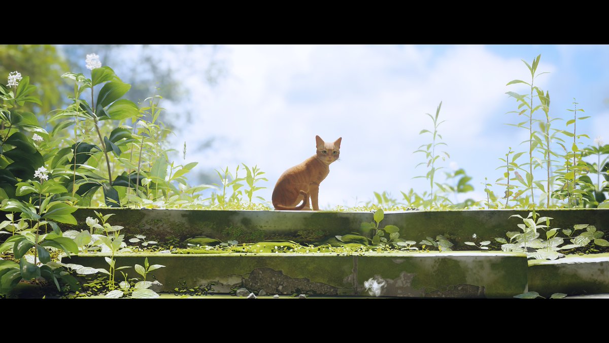 MRAZumovski's tweet photo. #PS5Share, #Stray https://t.co/hj8NUvKIE6