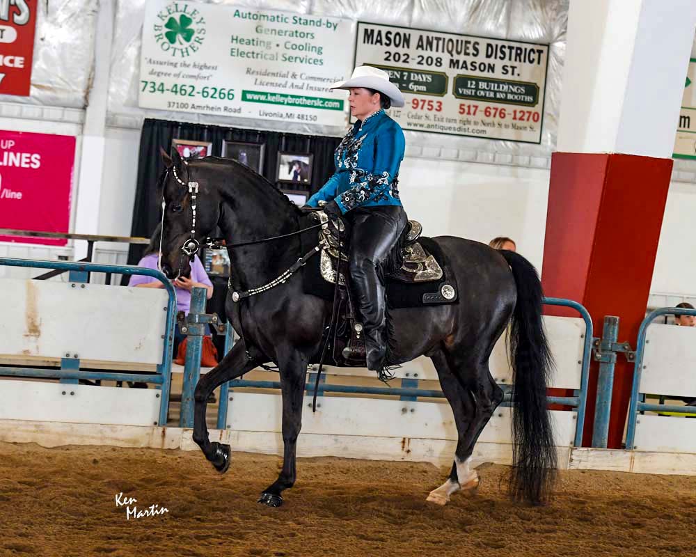 MorganShowcase's tweet image. Pretty 4YO gelding with just the right amount of chrome to get you noticed, a great start as a western pleasure entry &amp;amp; a personality you can fall in ❤️ with!

morganshowcase.com/twin_elm_dark_…

#MorgansForSale #MakeItAMorgan #MorganGeldingForSale #WesternPleasure #WesternDressage