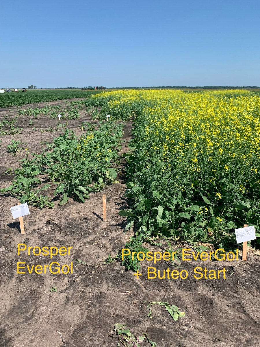 Courtney Meduna tweet media