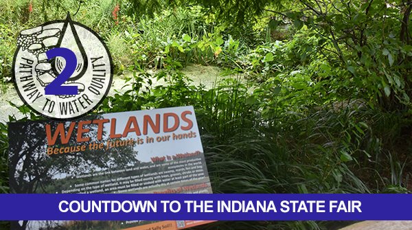 pathway2water's tweet photo. Your final stop at the original Pathway to Water Quality is at the wetland and pond area.  Stop by and take a selfie with your loved ones with this picturesque background.  If you’re feeling froggy – upload your photo in the comments section! https://t.co/pZTmUibCWb
