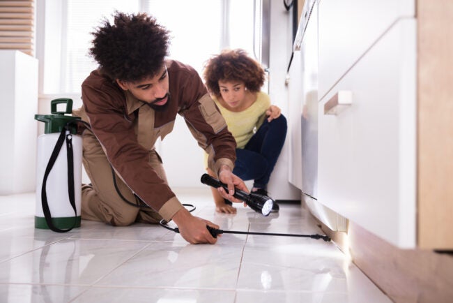 TYoungHomes's tweet photo. Here's how termite damage will be handled with home insurance. #REtips #housing  https://t.co/pENlKlNUJS https://t.co/8W2uH4uWDZ