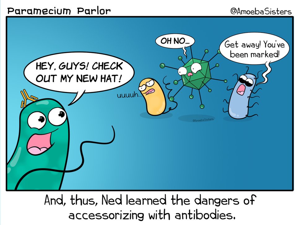 rapidnovor's tweet photo. There are times when fashion accessories may work for some, but not for others. These pathogens seem to really disapprove of antibody hats! #scicomm #sciart #scihumour #antibodies #pathogens #fashion
(Source: @AmoebaSisters) https://t.co/6Yr2qKzdNT