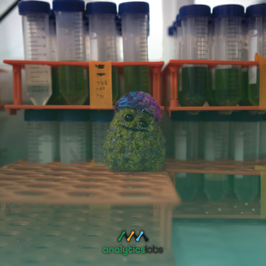 myAnalyticsLabs's tweet image. All smiles with the sample vials! 🧪 @nuggbuddies

#AnalyticsLabs #ScheduleYourAppointmentToday #testinglaboratory #testing #flowertesting #terpenes #cannabinoids #heavymetals #safetesting