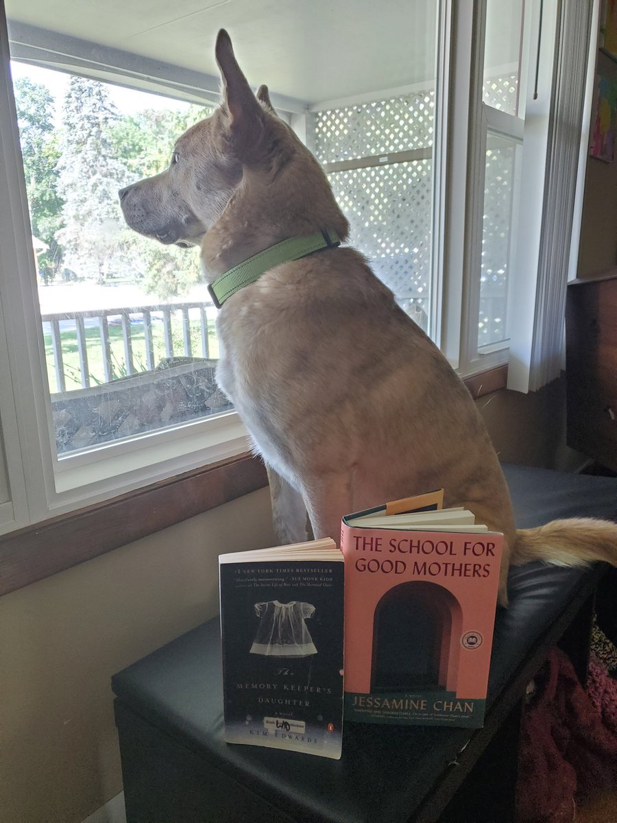 Summer reading #10 and #11:

➡️ #thememorykeepersdaughter by #kimedwards

➡️ #theschoolforgoodmothers by @jessaminechan

📚❤️ #amreading #dolansreadinglist #dogsoftwitter