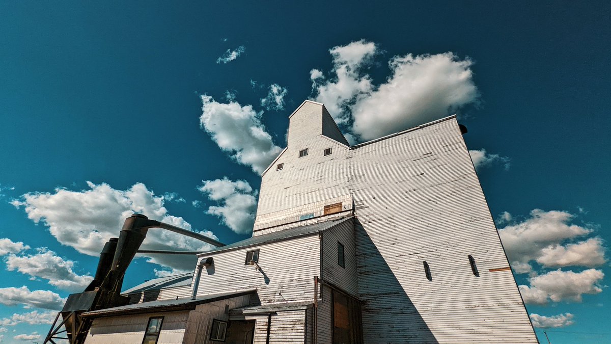 UVSoaked's tweet photo. Elevate your grain. 🫵🌾 https://t.co/eDwDv8rQBi