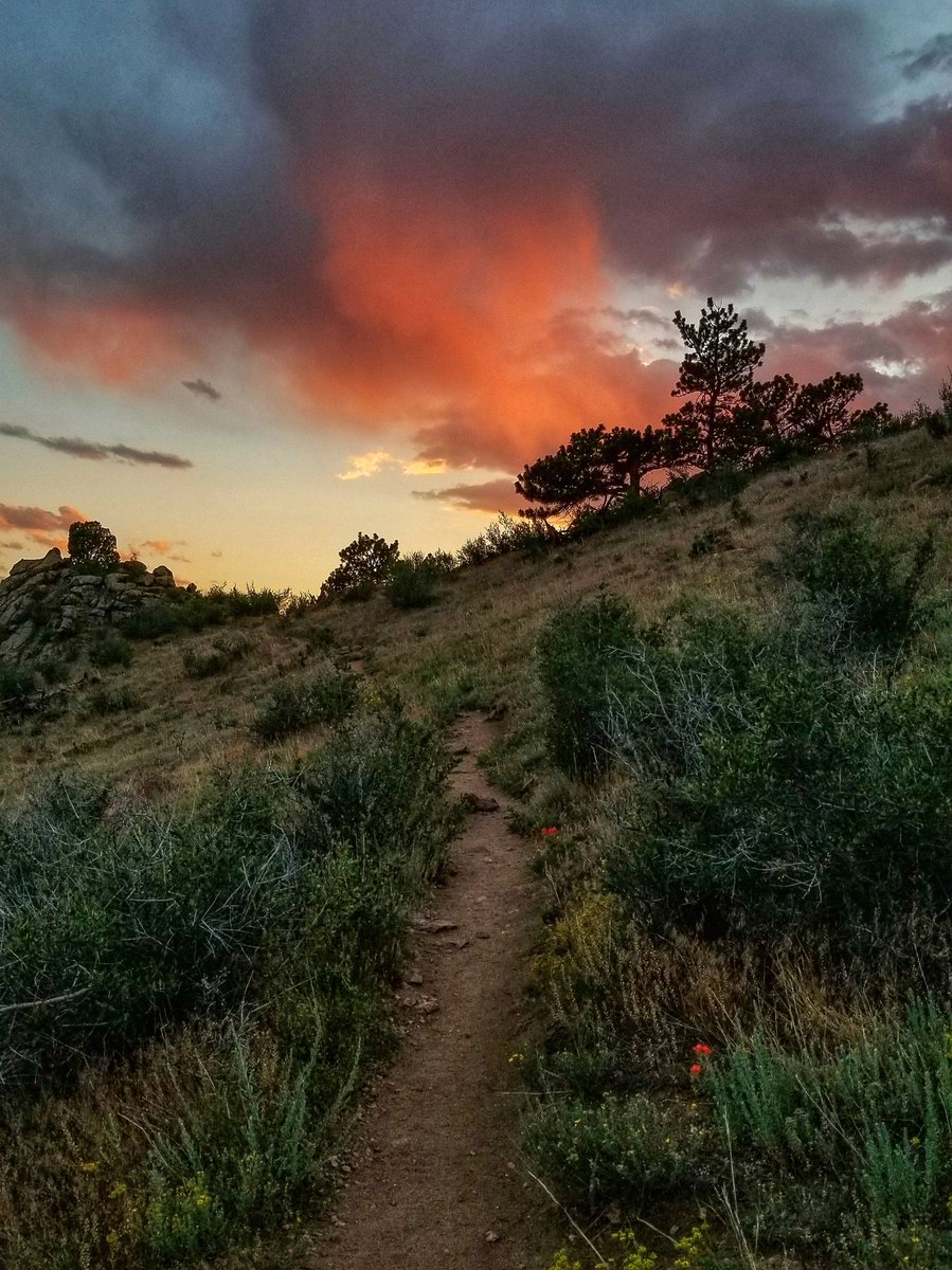 Mt Galbraith via Cedar Gulch Trail is a 4.0 mile hiker-only lollypop route that circles the top of Mt Galbraith in Golden Gate Canyon and provides wonderful sunset views.

#GoldenColorado #JeffcoTrails #ColoradoHiking