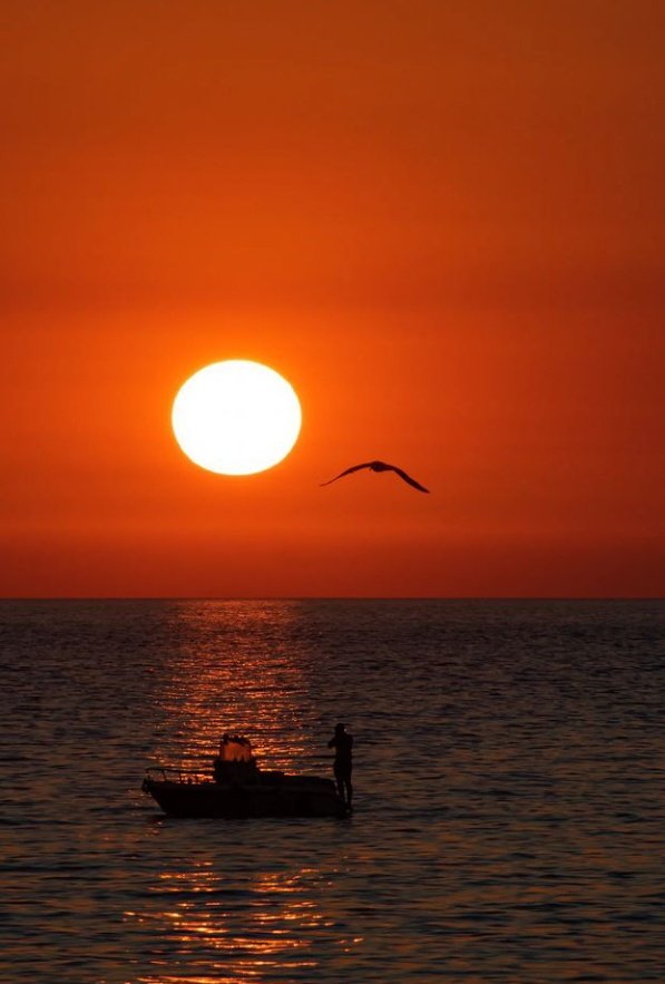Angel_InTheSoul's tweet photo. #amazing_sunset ❤️❤️❤️❤️ https://t.co/rzRQT0IBwm