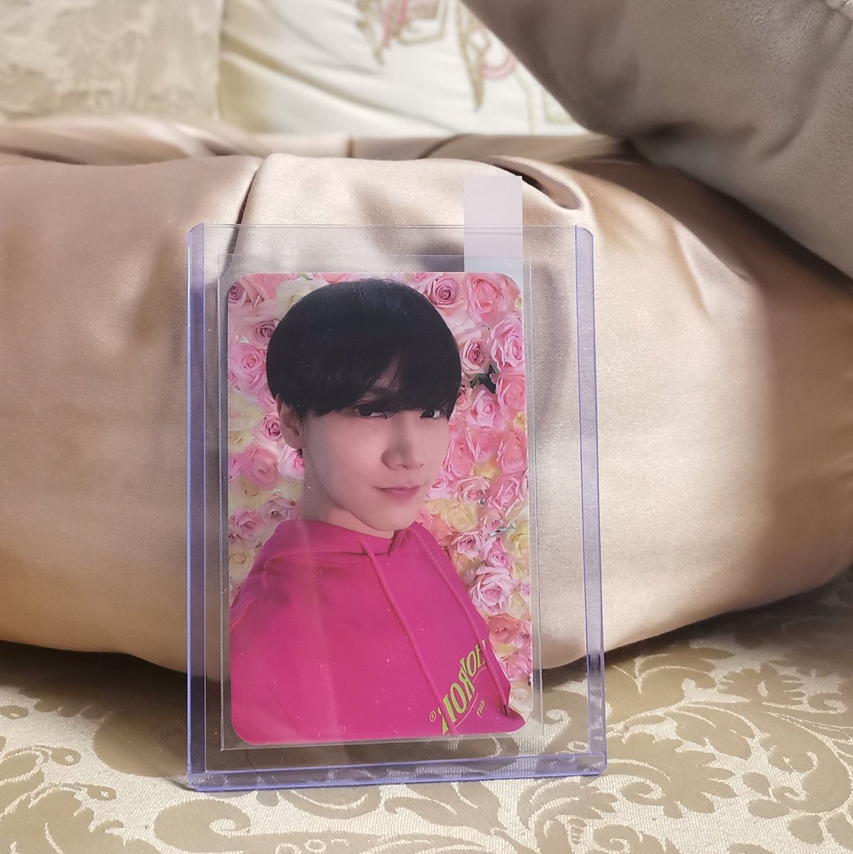 ploeycart's tweet photo. — #winsproofs 💌

hii @winwinscart, ten came home na! thank you so much 🥰 https://t.co/HQ5Z2Mhn5E
