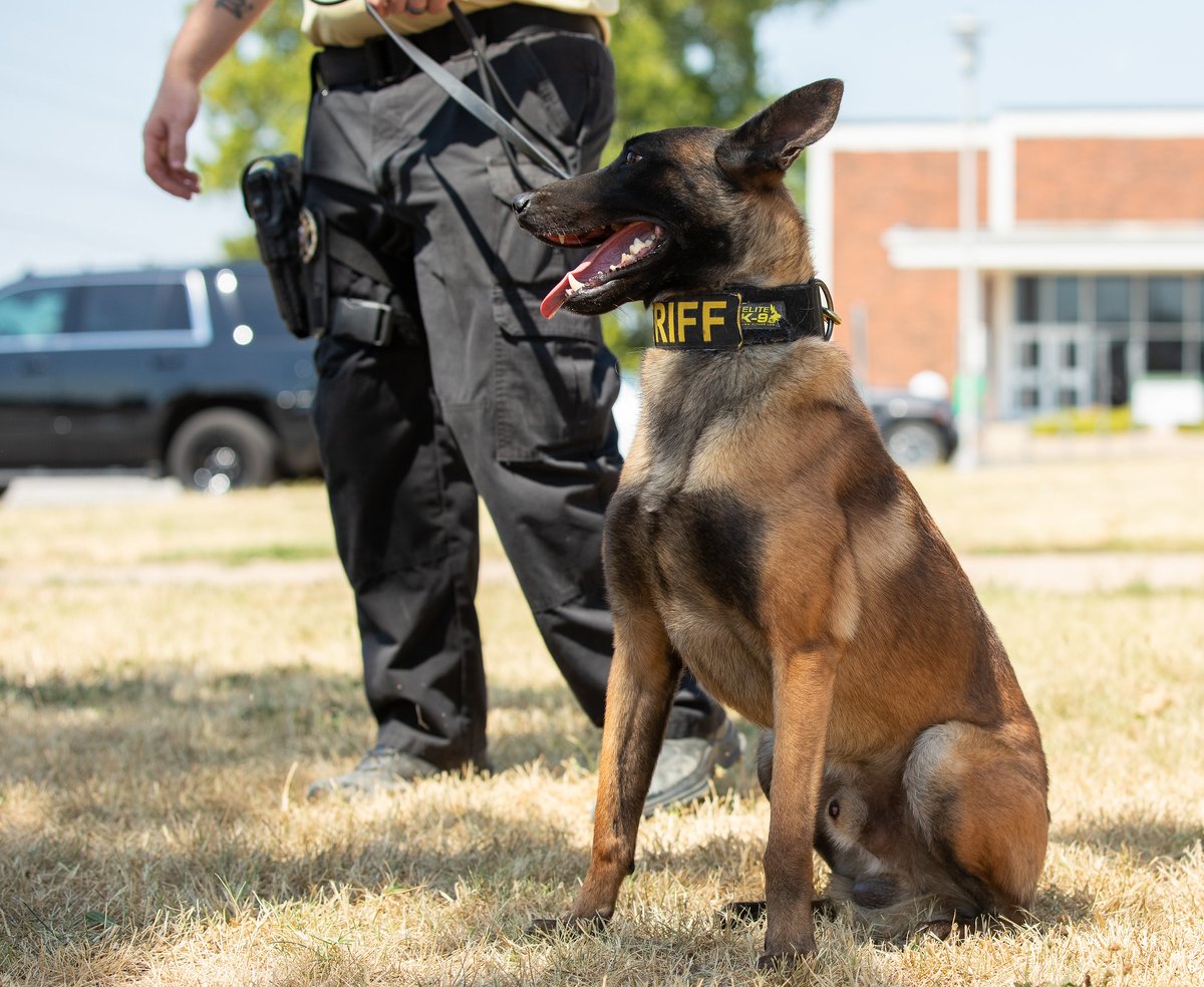 mosolions's tweet image. "Who let the dogs out?
Who, who, who, who, who?"

Summer criminal justice classes let the dogs out for class. Students got to experience firsthand what these good boys can do.