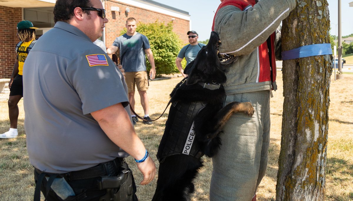 mosolions's tweet image. "Who let the dogs out?
Who, who, who, who, who?"

Summer criminal justice classes let the dogs out for class. Students got to experience firsthand what these good boys can do.