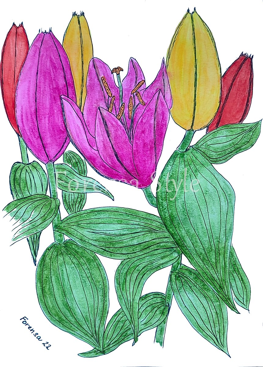 ForensaStyle's tweet photo. πΊLilies ...
... today ... just for fun ππ¨
(watercolor and drawing pen on paper)
#forensastyle #lilypainting #flowerspainting #watercolorpainting #happyart #feelgoodart #illustration #paintingforfun https://t.co/hTtwBH21ep