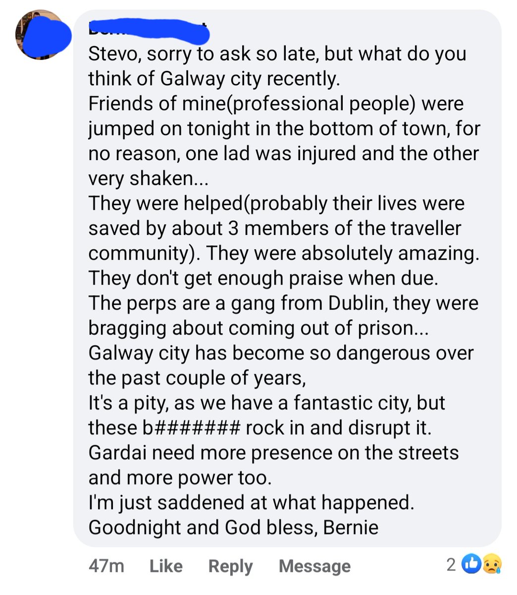 There are always bad stories about members of the Travelling Community. 

Here's a good one. Well done lads.