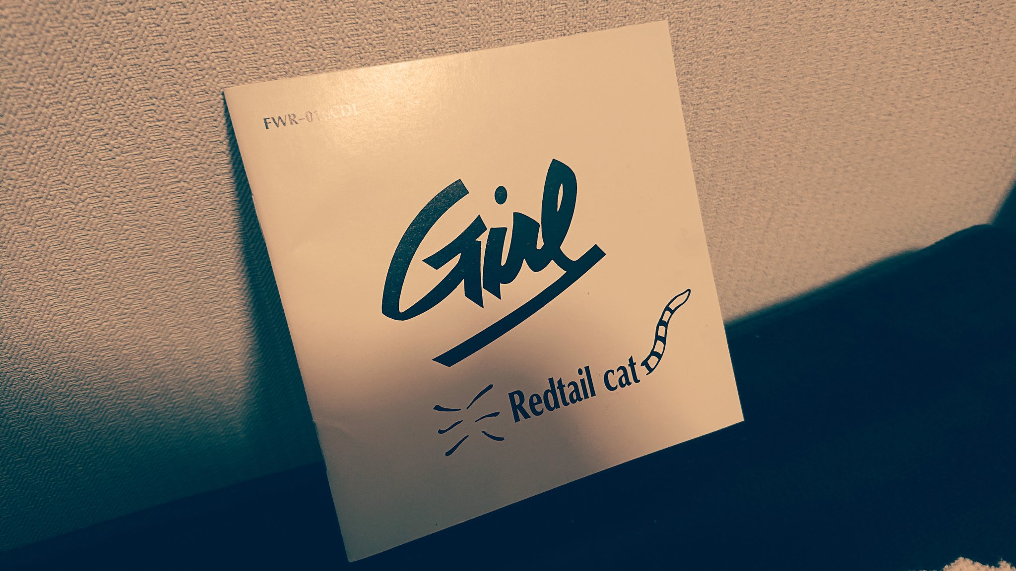 Lucy Redtail cat レットテイルキャット死異紋危異セット ぴろ on X: 