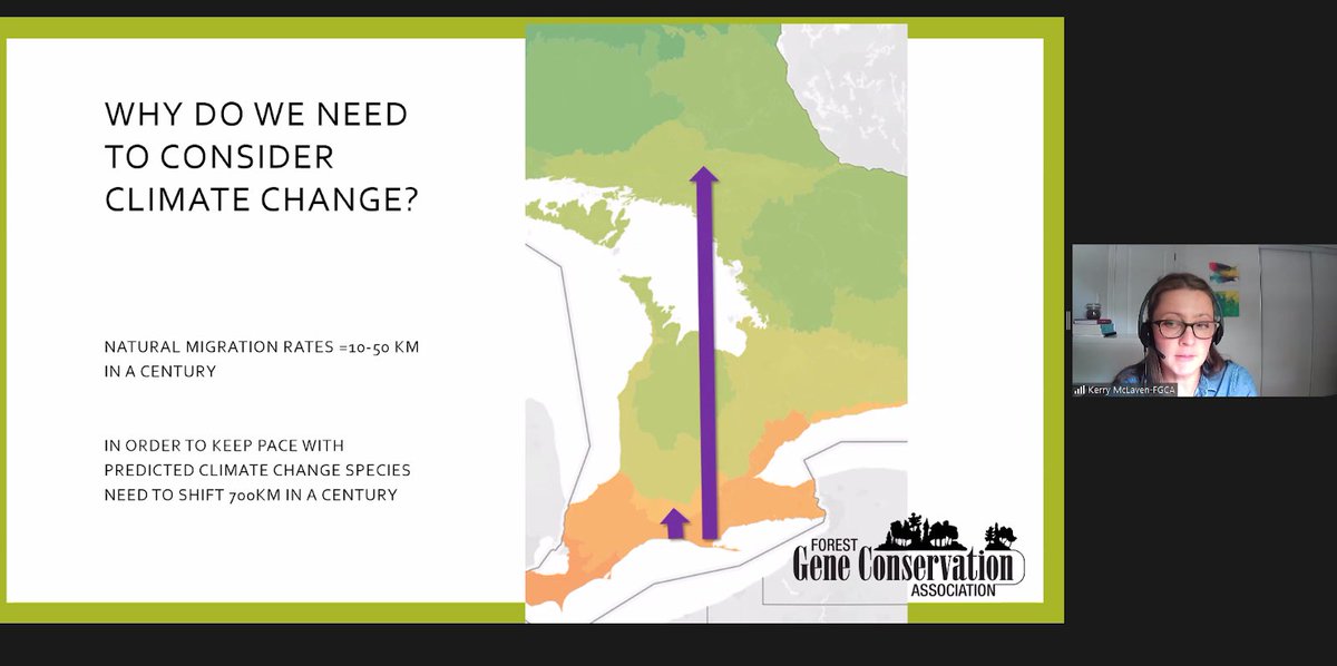 Ontario Urban Forest Council tweet media