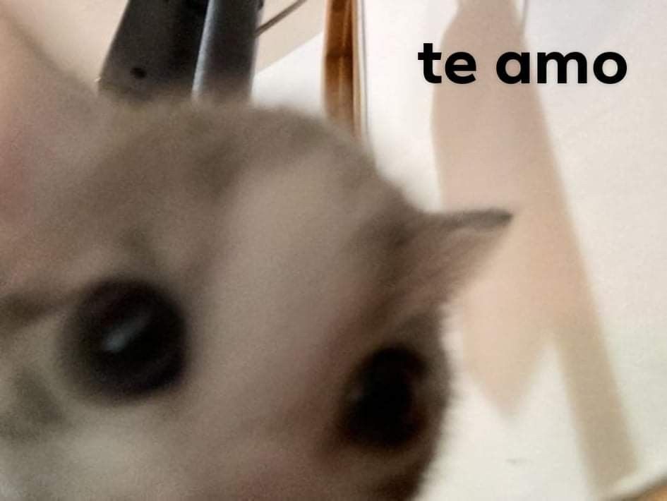 ٰ                    💭 <a href="/kittmiau/">kittmiau</a>
 
jisung te ha enviado un abrazo;

💌 te quiero mucho aunque seas medio boba y no sepas matematicas, me siento muy comoda contigo nunca pense que nos hariamos tan cercanas pero es lindo tenerte en mi vida durante tanto tiempo <3