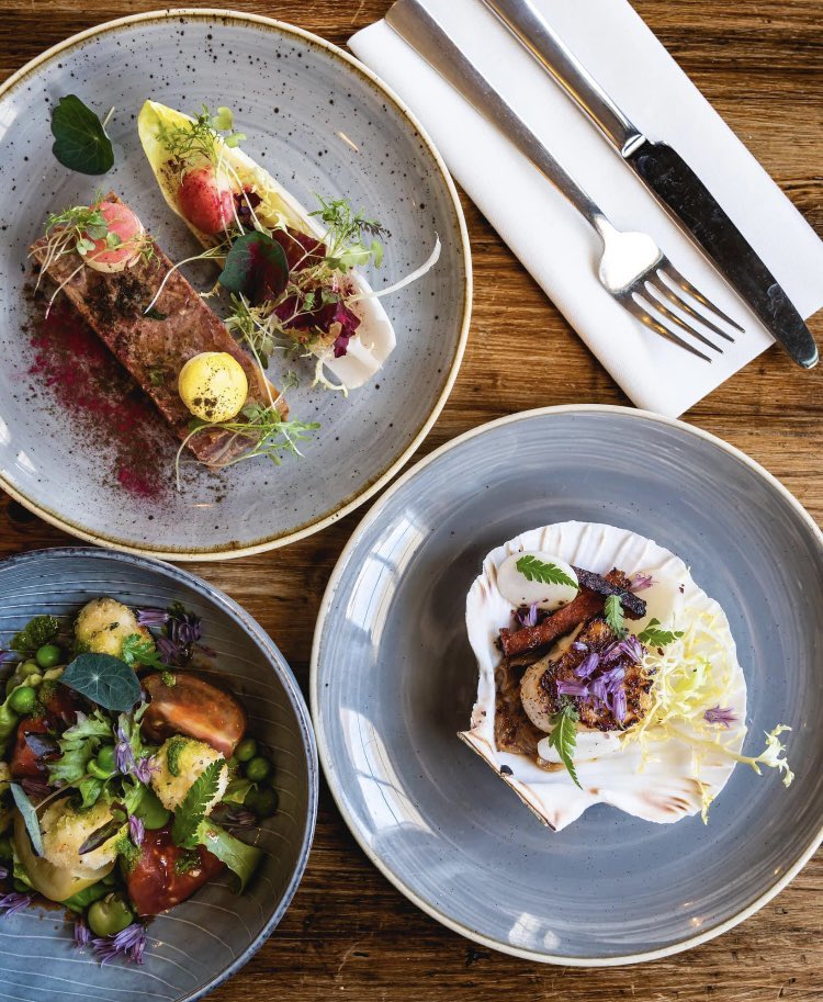 wesley watts tweet media