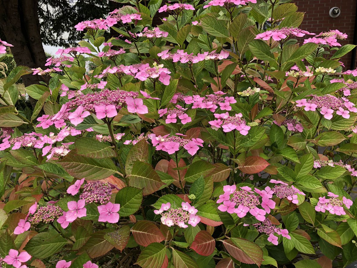 Raili Lahnalampi tweet media