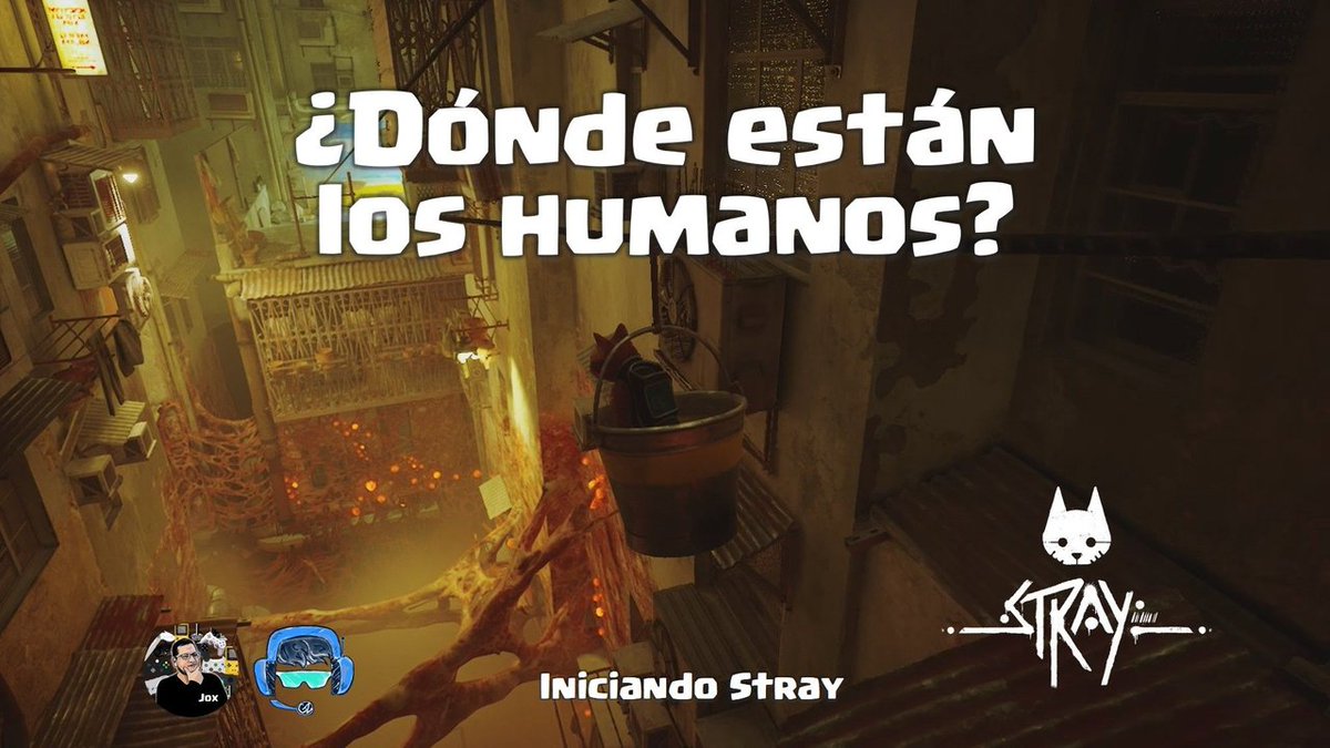 Ya era hora de convertirme en un gato en #Stray. ¿Dónde están los humanos? Tocará seguir avanzando en esta nueva aventura gatuna y descubrirlo. 

Compartí el inicio del juego, un gameplay en @3speakonline #Hive #videojuegos 👇

3speak.tv/watch?v=joseca…
