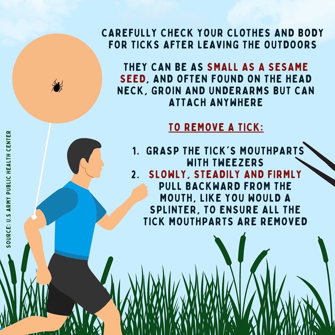 Tick awareness is important, especially during an Ithaca summer! Take these steps to stay educated and safe outdoors 🌳