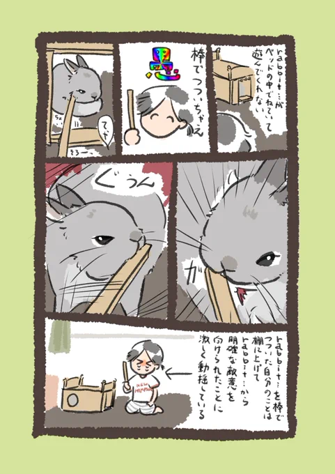 今日のrabbit…
#うさぎのいる生活 